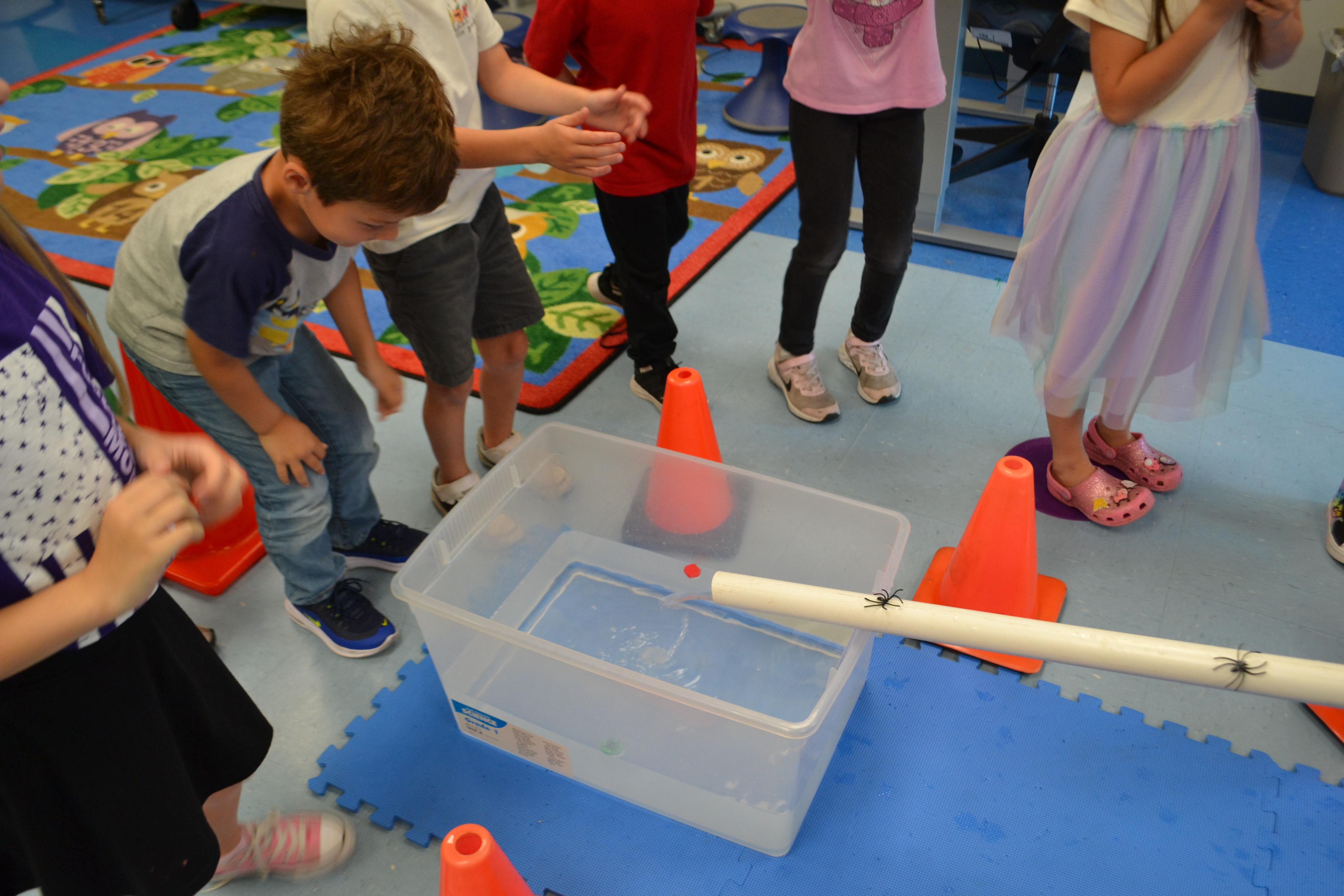 Student excitedly waiting for itsy bitsy spider to come out of the water spout