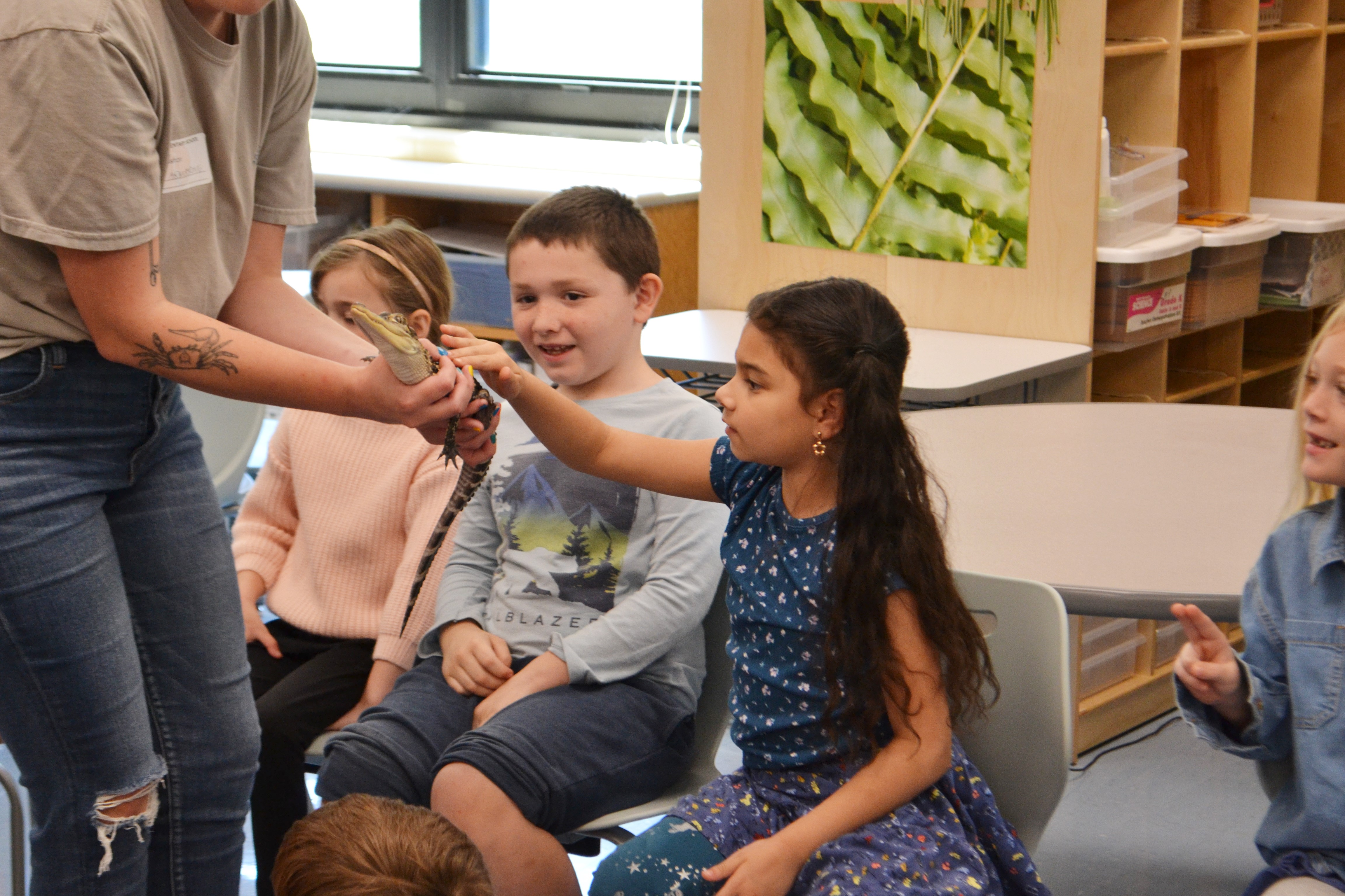 Student Pets Alligator