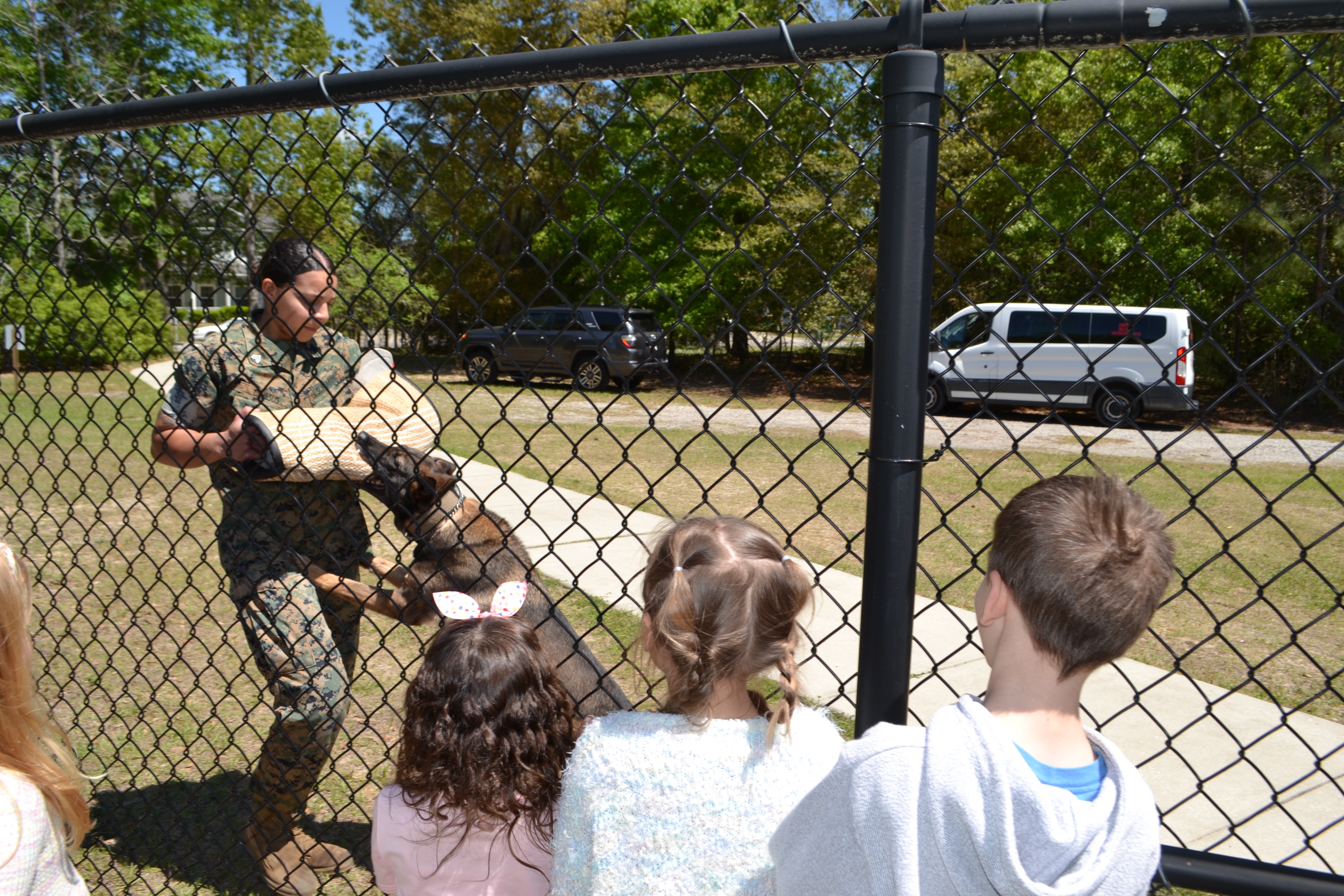 Students watching working dog bite work