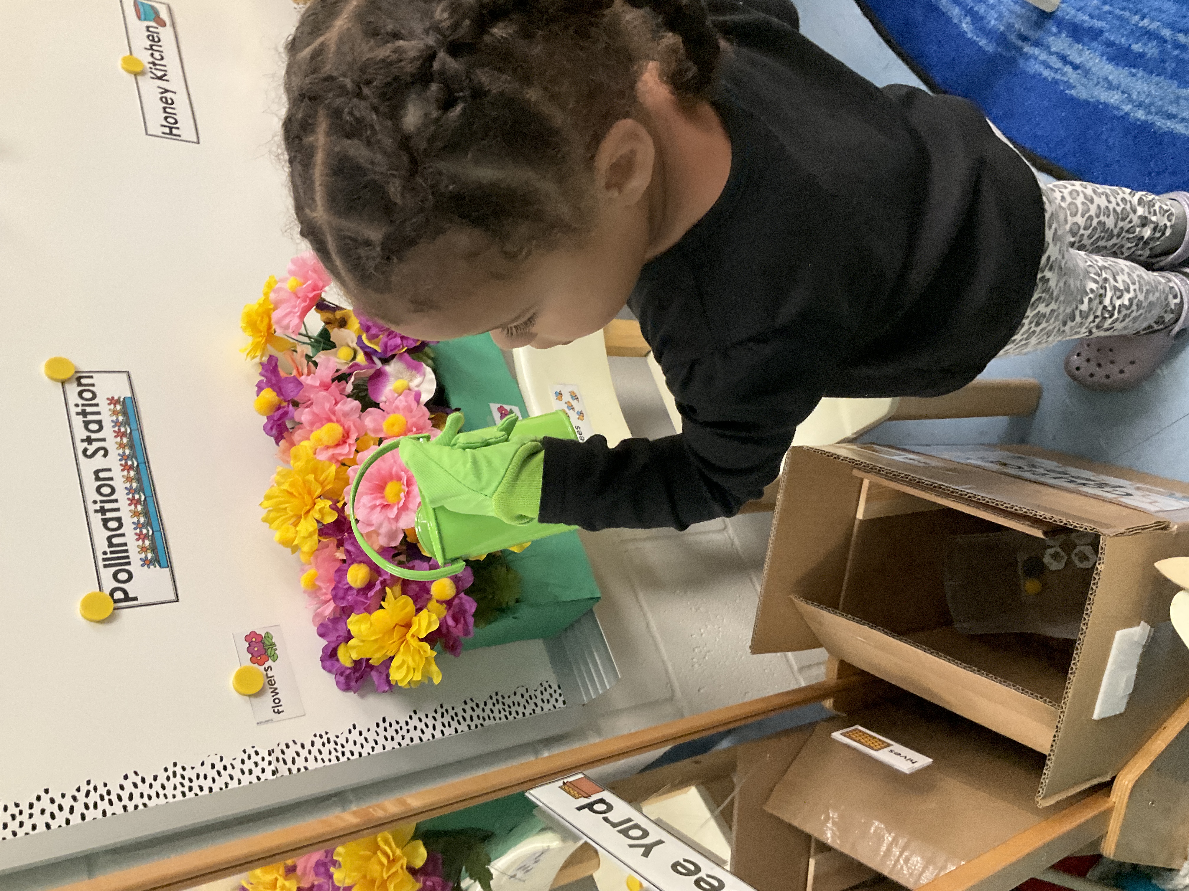 A Pre K student uses her imagination to help a pretend bee pollinate some flowers