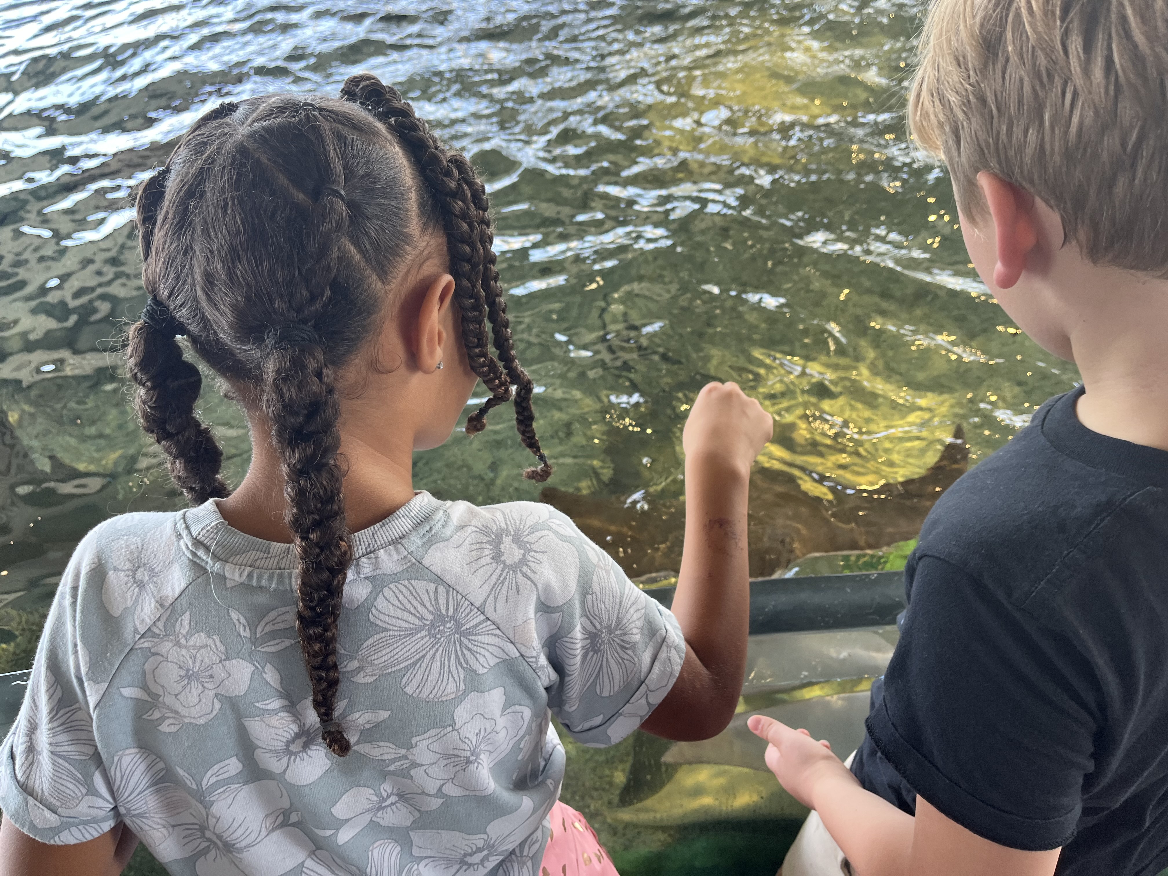 2nd grade students enjoying the touch tank at an aquarium