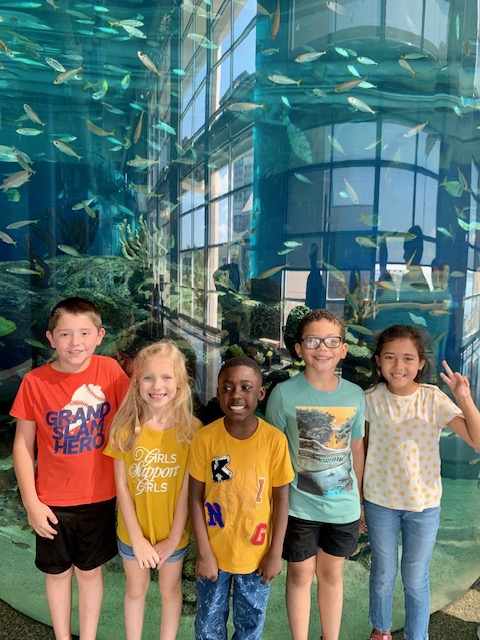 2nd graders post in front of a large aquarium